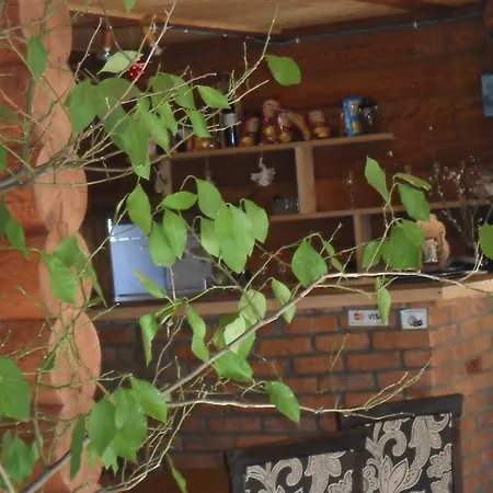 Ξενοδοχείο Zdravnica Karpat *