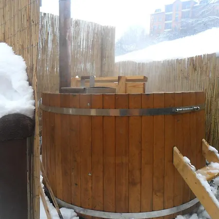 Zdravnica Karpat Ξενοδοχείο Polyana (Transcarpathia)