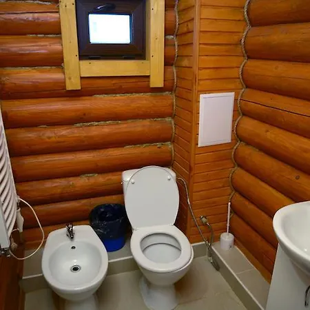 Ξενοδοχείο Zdravnica Karpat