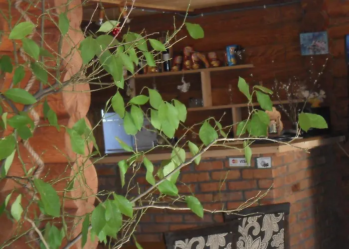 酒店 Zdravnica Karpat *